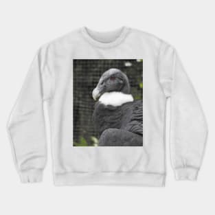 Andean Condor Crewneck Sweatshirt